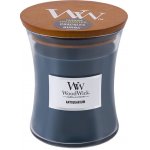WoodWick Antiquarium 275 g – Zbozi.Blesk.cz