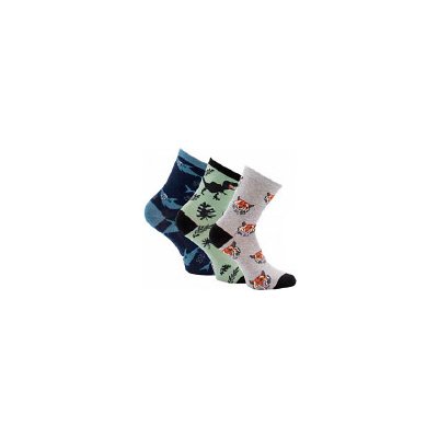 CNB BERLIN Ponožky SADA 3 PÁRŮ DE 54202 zelené dino, šedé tygr, modré se žraloky