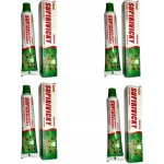 Siddhalepa bylinný balzám 4 x 25 g – Hledejceny.cz