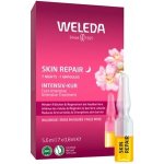 Weleda 7 denní intenzivní kúra Divoká růže Skin Repair Intensive Treatment 7 x 0,8 ml – Zboží Dáma
