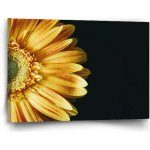 Sablio Obraz žlutá gerbera - 60x40 cm – Hledejceny.cz