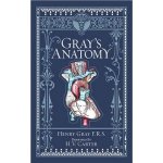 Gray\'s Anatomy - Henry Gray – Hledejceny.cz