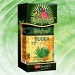Rainforest Yucca 500 mg 180 kapslí – Hledejceny.cz