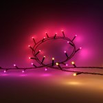 Philips Hue Festivia 8720169246867 – Hledejceny.cz