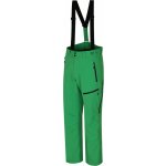 Hannah Ammar pánské lyžařské kalhoty 10005180HHX01 Classic green – Hledejceny.cz