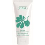 Ziaja foot - gel na nohy kaštanový 100 ml – Zboží Mobilmania