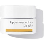Dr. Hauschka Eye And Lip Care balzám na rty s vyživujícím účinkem 4,5 ml – Zboží Dáma
