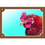 DAFIKO Barevná cedulka Pozor pes Slepice – Zboží Dáma