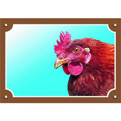 DAFIKO Barevná cedulka Pozor pes Slepice – Zboží Dáma