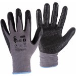 CXS NAPA – Zbozi.Blesk.cz