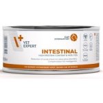 VetExpert VD 4T Intestinal Cat 100 g – Sleviste.cz