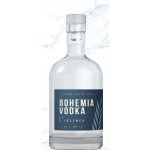 Absolut 40% 0,7 l (holá láhev ) – Zboží Dáma