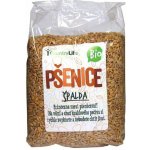 Country Life Pšenice špalda Bio 1 kg – Zboží Dáma