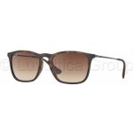 Ray-Ban RB4187 856 13 – Hledejceny.cz