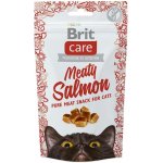 Brit Care Cat Snack Superfruits Salmon 100 g – Sleviste.cz