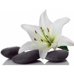 WEBLUX 3953050 Samolepka fólie madonna lily and spa stone madonna lily a lázeský kámen rozměry 270 x 200 cm