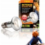 Hagen ExoTerra Day Glo Tight Beam 75 W – HobbyKompas.cz