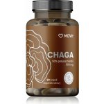 MOVit Chaga 50% polysacharidů 500 mg 90 kapslí – Hledejceny.cz