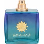 Amouage Figment parfémovaná voda pánská 100 ml – Hledejceny.cz