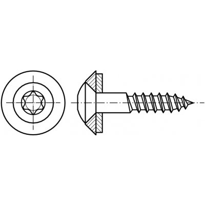 PROFISTYL DIN 7995P klempířský vrut do dřeva s čočkovou hlavou, s těsnící podložkou 15mm nerez A2 TORX Varianta: DIN 7995P klemp. vrut ČH TORX+podl.15mm A2 4,5x035 – Zboží Mobilmania