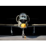 Let stíhačkou L-39 Albatros – Zboží Mobilmania