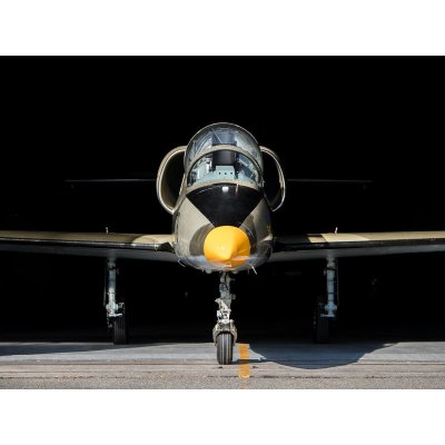 Let stíhačkou L-39 Albatros – Zboží Mobilmania