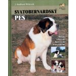 Svatobernardský pes – Hledejceny.cz