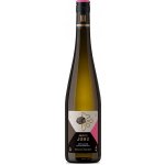 Weingut Jacob Jung Erbacher Steinmorgen Ryzlink rýnský suché bílé 2020 12,5% 0,75 l (holá láhev) – Hledejceny.cz