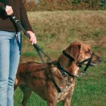 Trixie TOP TRAINER výcvikový postroj L XL – Hledejceny.cz