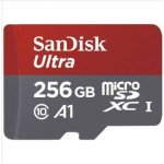 SanDisk microSDXC 256 GB UHS-I U1 173399 – Hledejceny.cz