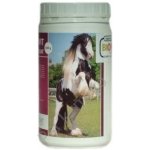 Hippovit H 0,5 kg – Hledejceny.cz