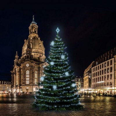 DecoLED LED světelná sada na stromy vysoké 15-17m ledová bílá s dekory 8EFD08