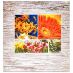 Fotoalbum samolepicí 100stran DRS50 Fandy INCOLOR 1 – Hledejceny.cz