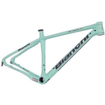 Bianchi methanol 29 sx cheap frame 2017