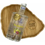 Palírna u Větrného Mlýna Mirabelkovice 50% 0,5 l (holá láhev) – Zboží Dáma