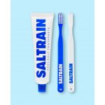 Saltrain Cestovní sada pro ústní hygienu Dental Kit Blue Edition 2 x 100 g – Hledejceny.cz
