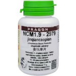 Pragon NCM1.9 - jinqiancaopian - 36 tablet – Hledejceny.cz