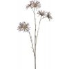 Květina Gasper Větev marguerite V. 68cm bordó