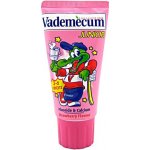 Vademecum Junior jahoda 50 ml – Hledejceny.cz