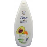 Dove Nourishing Secrets Invigorating Ritual avocado sprchový gel 500 ml – Zbozi.Blesk.cz