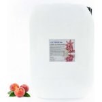 PM Aqualog esence do parních kabin broskev 944-010/D 10 l – Hledejceny.cz