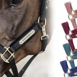 Kentucky Velvet 42558 pine zelená – Hledejceny.cz