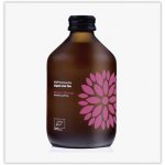 Vigo Kombucha mango a maracuja bio 330 ml – Zboží Dáma