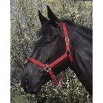 Riding World Ohlávka nylonová červená – Zboží Dáma