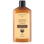 Athena's Erboristica Shampoo s lněným olejem pro suché a poškozené vlasy 300 ml – Hledejceny.cz