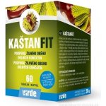 MedinTerra Kaštanfit 60 tablet – Hledejceny.cz