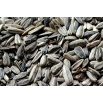 Biostan Biokron Slunečnice černá 5 kg – Zbozi.Blesk.cz