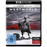 Westworld 2. série 4K BD – Hledejceny.cz