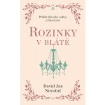 Rozinky v blátě - Dva tucty střepů – Zbozi.Blesk.cz