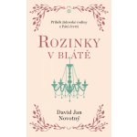 Rozinky v blátě - Dva tucty střepů – Hledejceny.cz